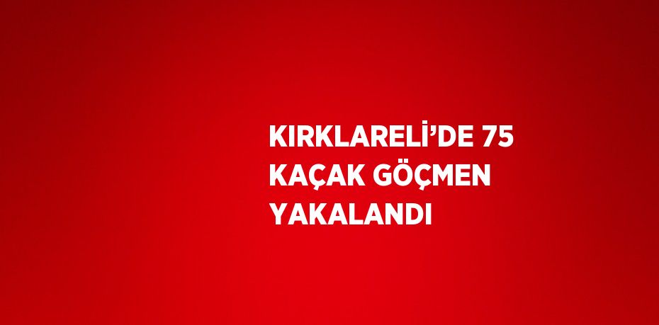 KIRKLARELİ’DE 75 KAÇAK GÖÇMEN YAKALANDI