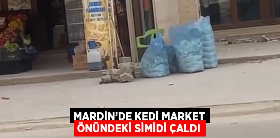 MARDİN’DE KEDİ MARKET ÖNÜNDEKİ SİMİDİ ÇALDI