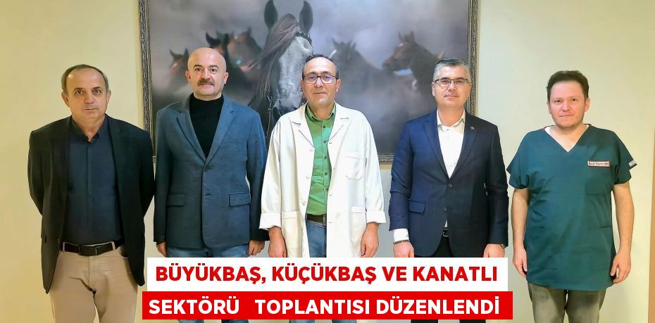 BÜYÜKBAŞ, KÜÇÜKBAŞ VE KANATLI SEKTÖRÜ   TOPLANTISI DÜZENLENDİ