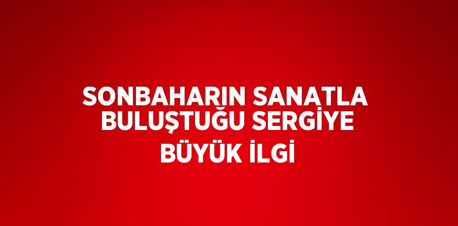 SONBAHARIN SANATLA BULUŞTUĞU SERGİYE BÜYÜK İLGİ