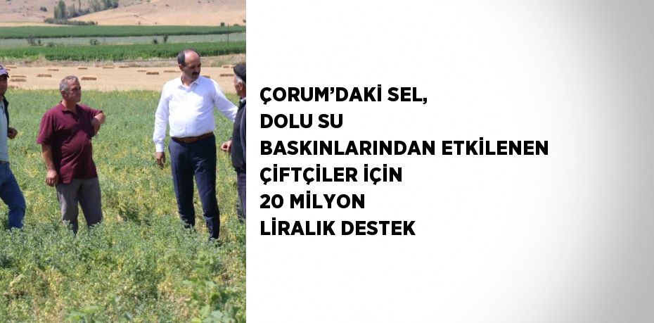 ÇORUM’DAKİ SEL, DOLU SU BASKINLARINDAN ETKİLENEN ÇİFTÇİLER İÇİN 20 MİLYON LİRALIK DESTEK