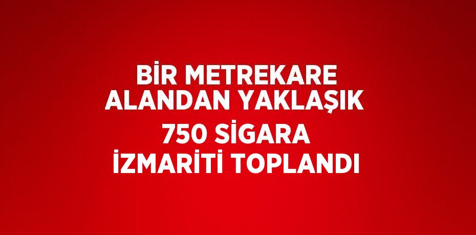 BİR METREKARE ALANDAN YAKLAŞIK 750 SİGARA İZMARİTİ TOPLANDI