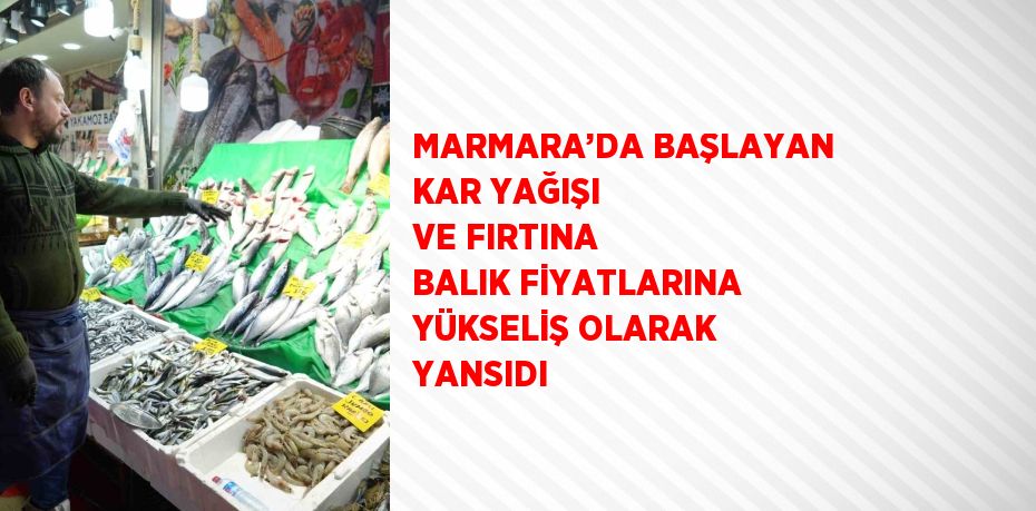 MARMARA’DA BAŞLAYAN KAR YAĞIŞI VE FIRTINA BALIK FİYATLARINA YÜKSELİŞ OLARAK YANSIDI