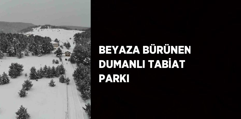 BEYAZA BÜRÜNEN DUMANLI TABİAT PARKI