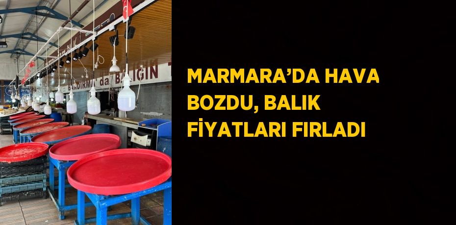 MARMARA’DA HAVA BOZDU, BALIK FİYATLARI FIRLADI