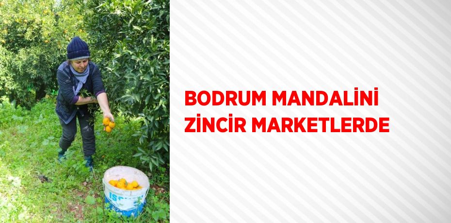 BODRUM MANDALİNİ ZİNCİR MARKETLERDE