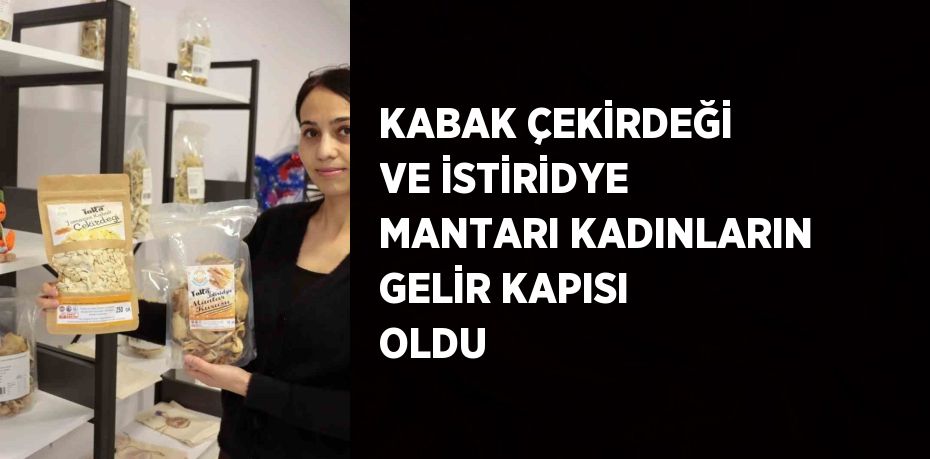 KABAK ÇEKİRDEĞİ VE İSTİRİDYE MANTARI KADINLARIN GELİR KAPISI OLDU