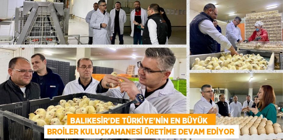 BALIKESİR’DE TÜRKİYE’NİN EN BÜYÜK   BROİLER KULUÇKAHANESİ ÜRETİME DEVAM EDİYOR