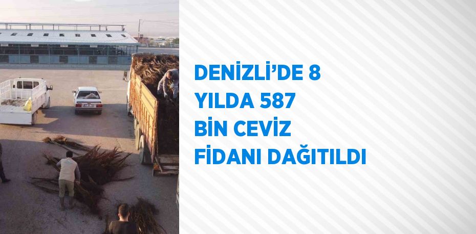 DENİZLİ’DE 8 YILDA 587 BİN CEVİZ FİDANI DAĞITILDI