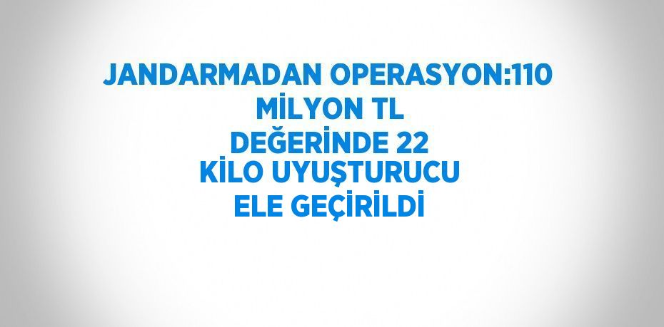 JANDARMADAN OPERASYON:110 MİLYON TL DEĞERİNDE 22 KİLO UYUŞTURUCU ELE GEÇİRİLDİ