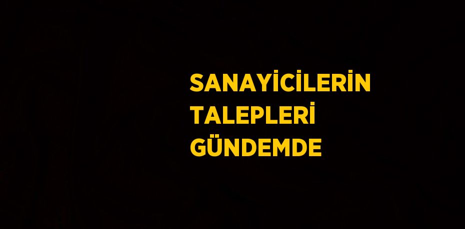 SANAYİCİLERİN TALEPLERİ GÜNDEMDE