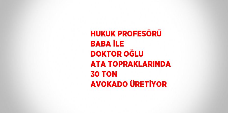 HUKUK PROFESÖRÜ BABA İLE DOKTOR OĞLU ATA TOPRAKLARINDA 30 TON AVOKADO ÜRETİYOR