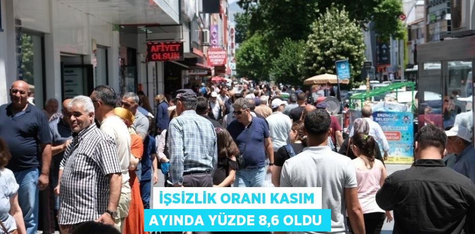 İŞSİZLİK ORANI KASIM AYINDA YÜZDE 8,6 OLDU