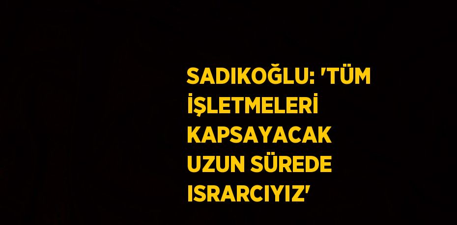 SADIKOĞLU: 'TÜM İŞLETMELERİ KAPSAYACAK UZUN SÜREDE ISRARCIYIZ'