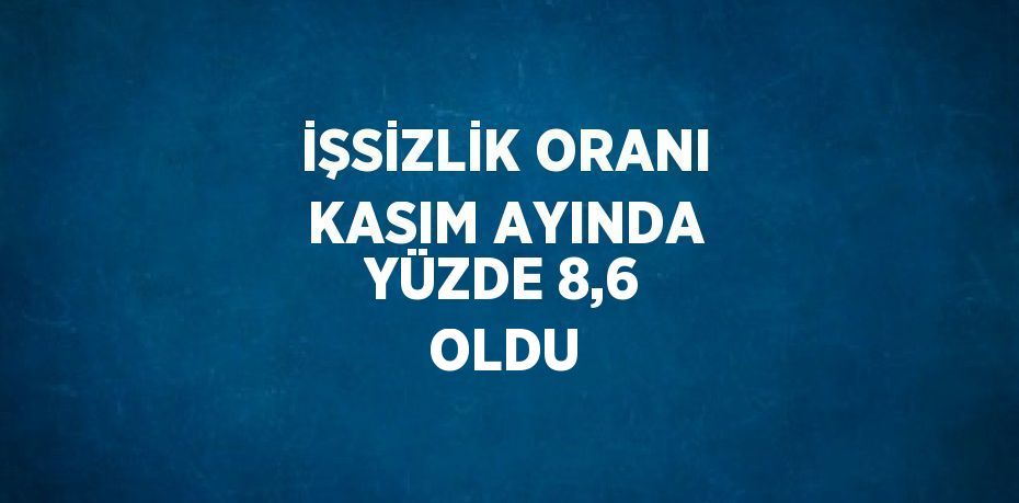 İŞSİZLİK ORANI KASIM AYINDA YÜZDE 8,6 OLDU