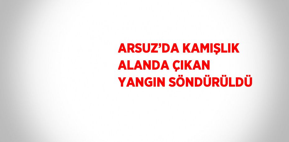ARSUZ’DA KAMIŞLIK ALANDA ÇIKAN YANGIN SÖNDÜRÜLDÜ