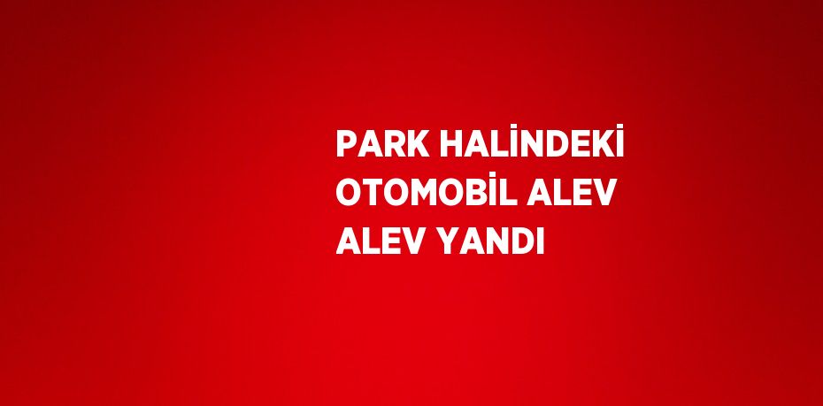 PARK HALİNDEKİ OTOMOBİL ALEV ALEV YANDI