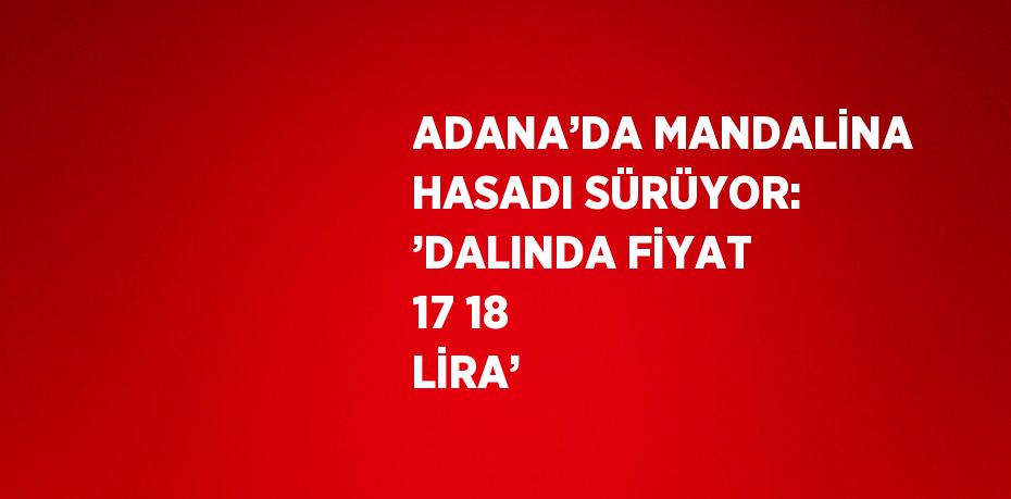 ADANA’DA MANDALİNA HASADI SÜRÜYOR: ’DALINDA FİYAT 17 18 LİRA’