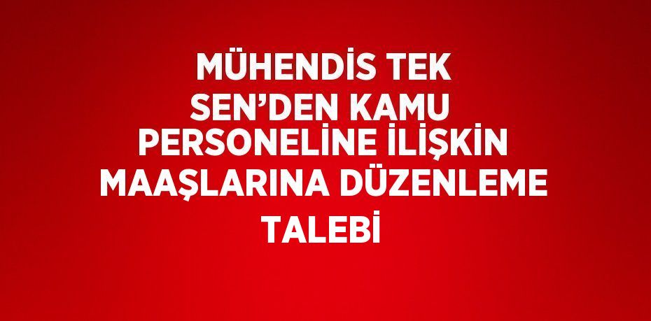 MÜHENDİS TEK SEN’DEN KAMU PERSONELİNE İLİŞKİN MAAŞLARINA DÜZENLEME TALEBİ