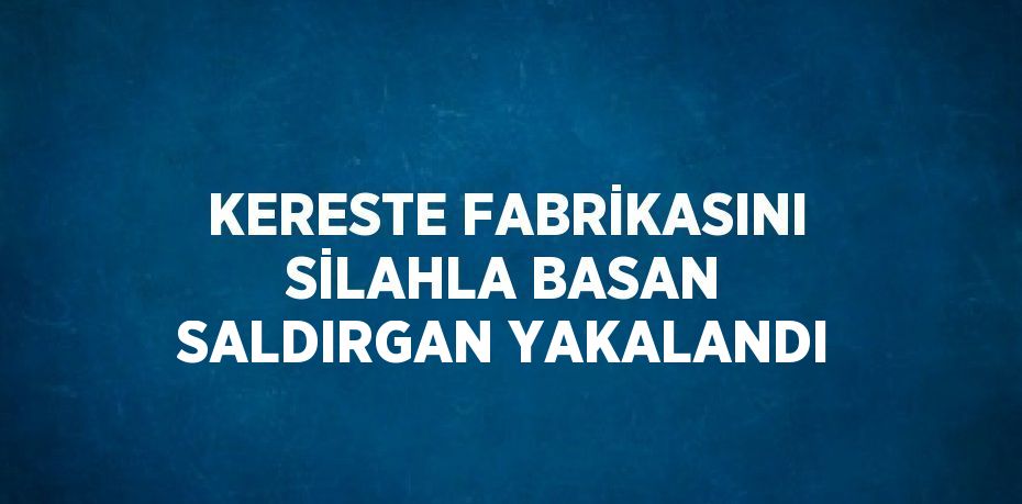 KERESTE FABRİKASINI SİLAHLA BASAN SALDIRGAN YAKALANDI