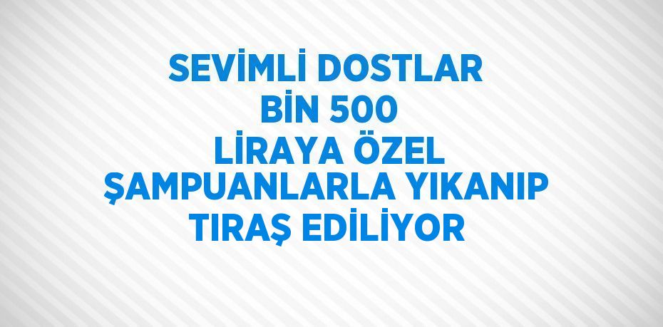 SEVİMLİ DOSTLAR BİN 500 LİRAYA ÖZEL ŞAMPUANLARLA YIKANIP TIRAŞ EDİLİYOR