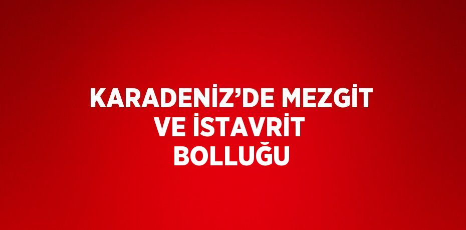 KARADENİZ’DE MEZGİT VE İSTAVRİT BOLLUĞU