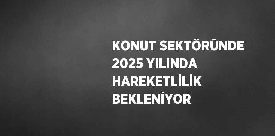 KONUT SEKTÖRÜNDE 2025 YILINDA HAREKETLİLİK BEKLENİYOR