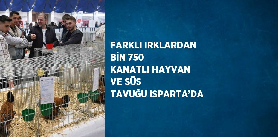 FARKLI IRKLARDAN BİN 750 KANATLI HAYVAN VE SÜS TAVUĞU ISPARTA’DA