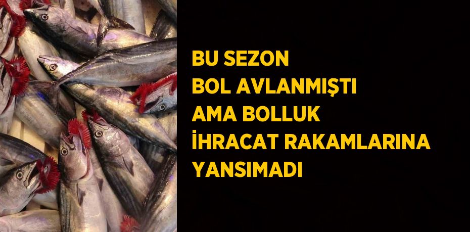 BU SEZON BOL AVLANMIŞTI AMA BOLLUK İHRACAT RAKAMLARINA YANSIMADI