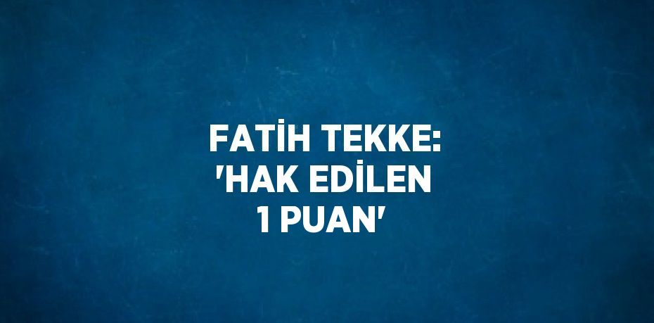 FATİH TEKKE: 'HAK EDİLEN 1 PUAN'