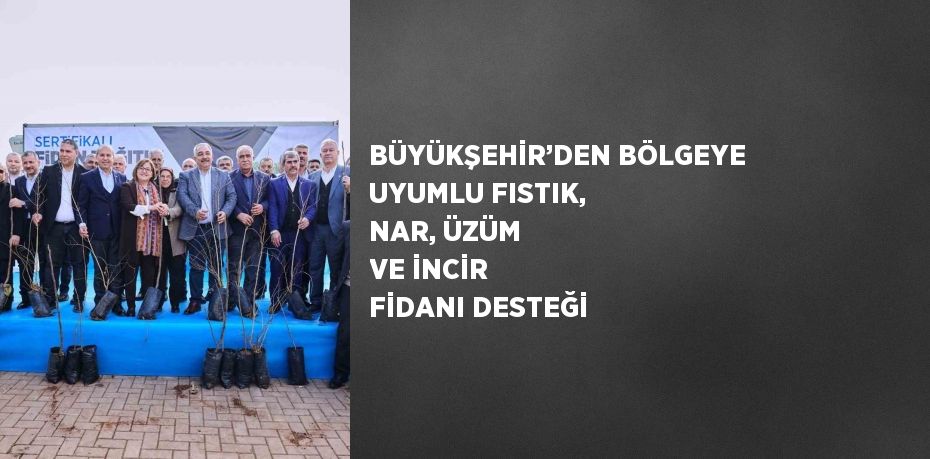 BÜYÜKŞEHİR’DEN BÖLGEYE UYUMLU FISTIK, NAR, ÜZÜM VE İNCİR FİDANI DESTEĞİ