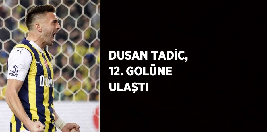 DUSAN TADİC, 12. GOLÜNE ULAŞTI