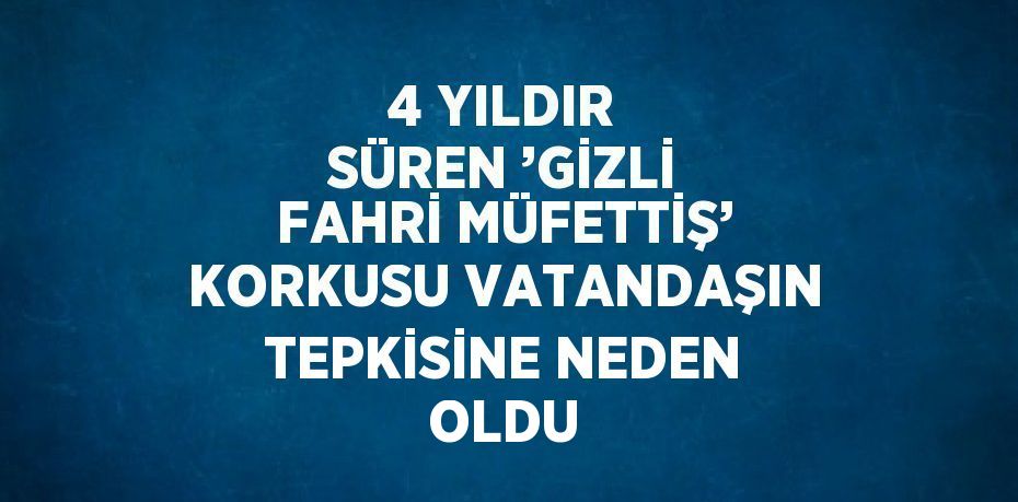 4 YILDIR SÜREN ’GİZLİ FAHRİ MÜFETTİŞ’ KORKUSU VATANDAŞIN TEPKİSİNE NEDEN OLDU