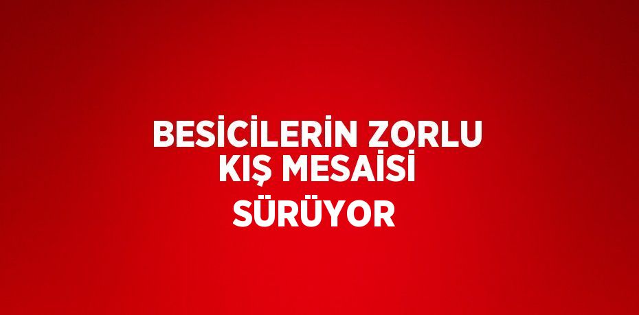 BESİCİLERİN ZORLU KIŞ MESAİSİ SÜRÜYOR