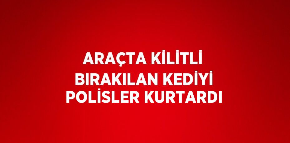 ARAÇTA KİLİTLİ BIRAKILAN KEDİYİ POLİSLER KURTARDI