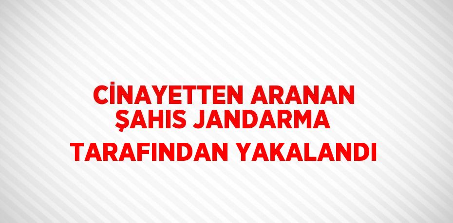 CİNAYETTEN ARANAN ŞAHIS JANDARMA TARAFINDAN YAKALANDI