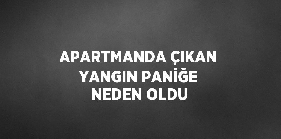 APARTMANDA ÇIKAN YANGIN PANİĞE NEDEN OLDU