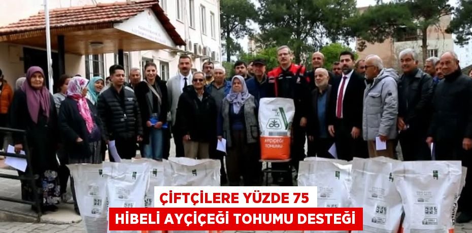 ÇİFTÇİLERE YÜZDE 75 HİBELİ AYÇİÇEĞİ TOHUMU DESTEĞİ