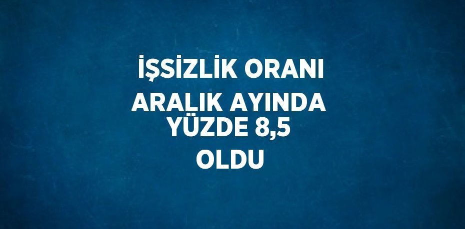 İŞSİZLİK ORANI ARALIK AYINDA YÜZDE 8,5 OLDU