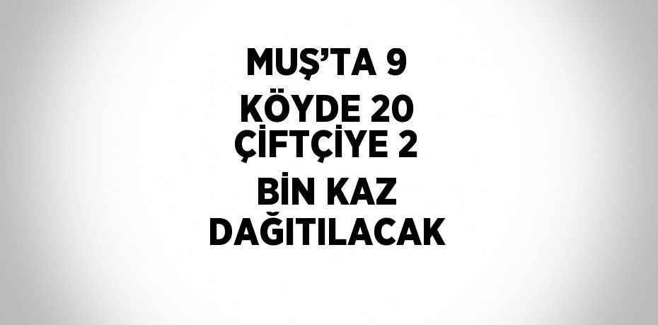 MUŞ’TA 9 KÖYDE 20 ÇİFTÇİYE 2 BİN KAZ DAĞITILACAK