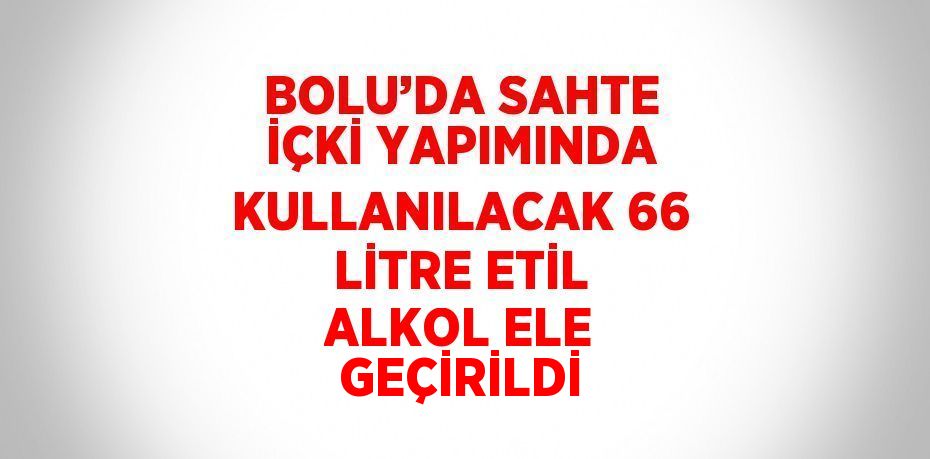 BOLU’DA SAHTE İÇKİ YAPIMINDA KULLANILACAK 66 LİTRE ETİL ALKOL ELE GEÇİRİLDİ