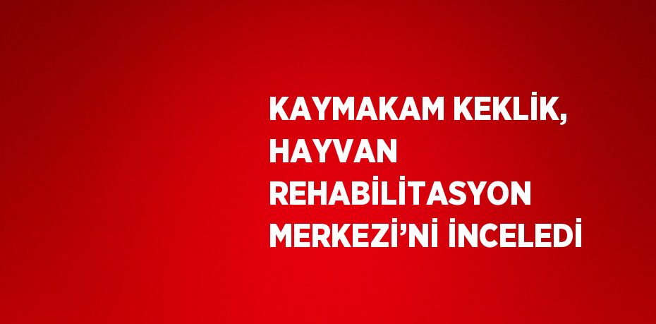KAYMAKAM KEKLİK, HAYVAN REHABİLİTASYON MERKEZİ’Nİ İNCELEDİ