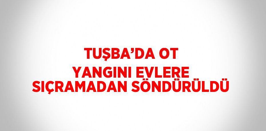 TUŞBA’DA OT YANGINI EVLERE SIÇRAMADAN SÖNDÜRÜLDÜ