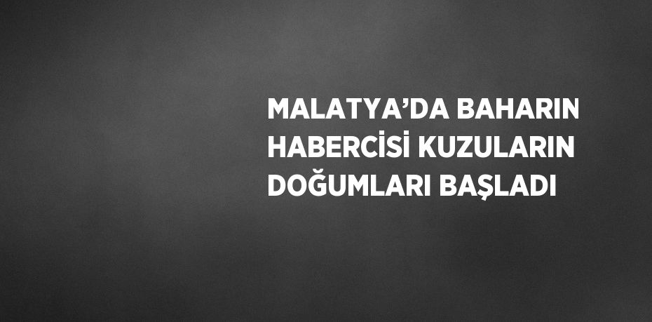 MALATYA’DA BAHARIN HABERCİSİ KUZULARIN DOĞUMLARI BAŞLADI