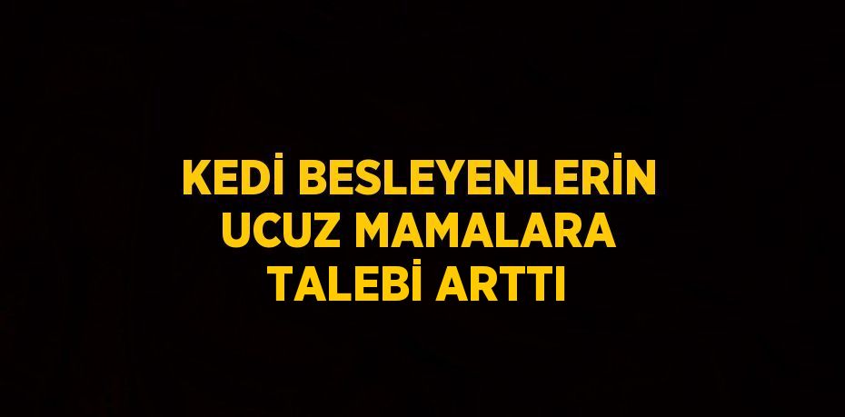KEDİ BESLEYENLERİN UCUZ MAMALARA TALEBİ ARTTI