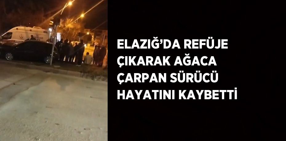 ELAZIĞ’DA REFÜJE ÇIKARAK AĞACA ÇARPAN SÜRÜCÜ HAYATINI KAYBETTİ