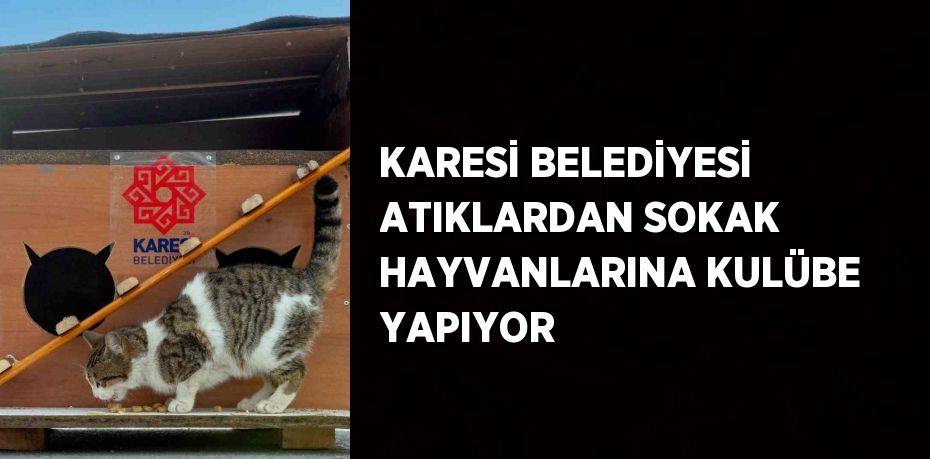 KARESİ BELEDİYESİ ATIKLARDAN SOKAK HAYVANLARINA KULÜBE YAPIYOR