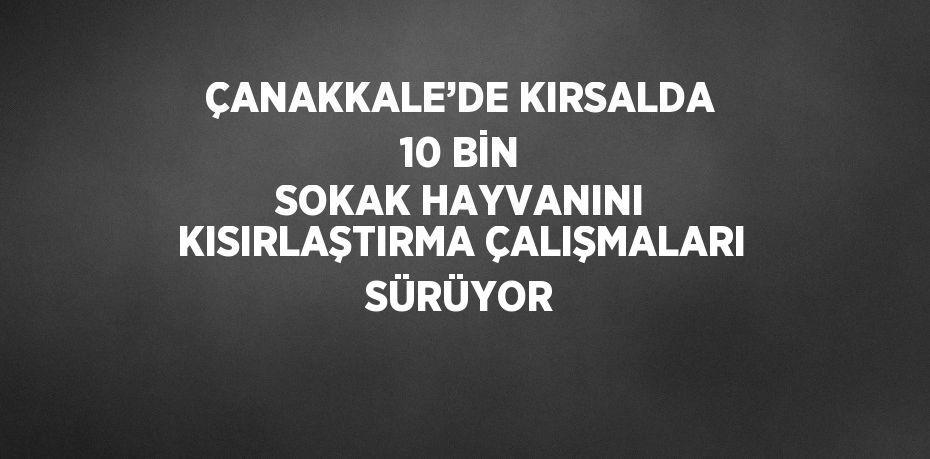 ÇANAKKALE’DE KIRSALDA 10 BİN SOKAK HAYVANINI KISIRLAŞTIRMA ÇALIŞMALARI SÜRÜYOR