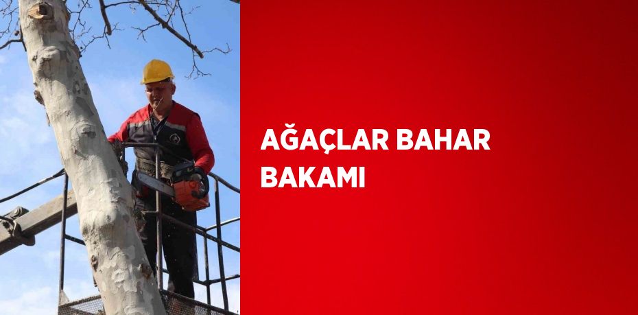AĞAÇLAR BAHAR BAKAMI