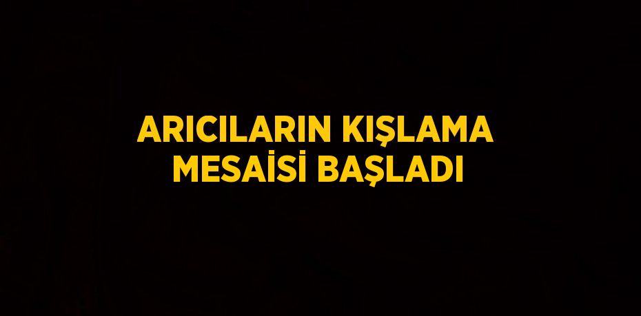 ARICILARIN KIŞLAMA MESAİSİ BAŞLADI